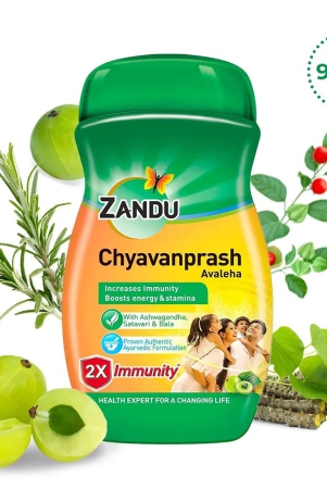 zandu-chyavanprash-avaleha-900g