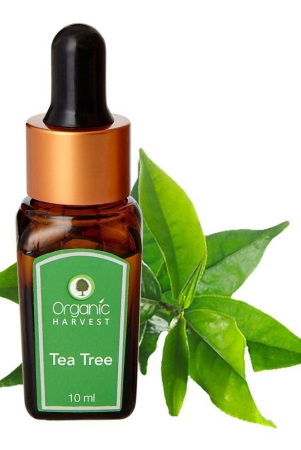 organic-harvest-tea-tree-essential-oil-10-ml-pack-of-1