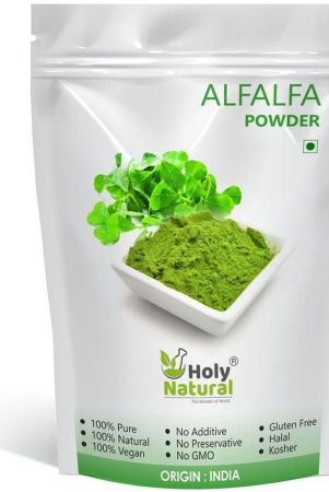 holy-natural-alfalfa-powder-100gm-make-smoothies-and-herbal-meals-100-gm