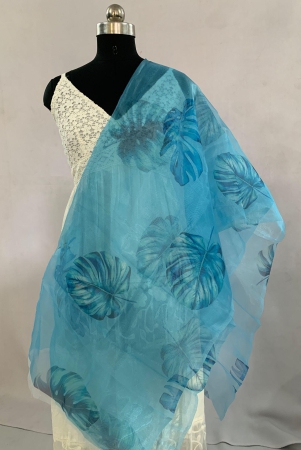 nvsbo018-sky-blue-color-organza-per-meter