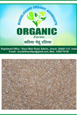 organic-katiya-wheat-dhaliya