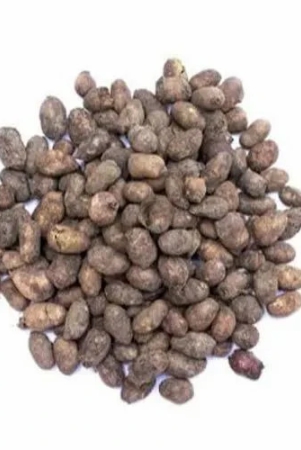 ayurveda-natural-herbal-jamun-seeds