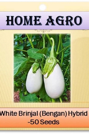 hn-organic-seed-vegetable-seeds-50-