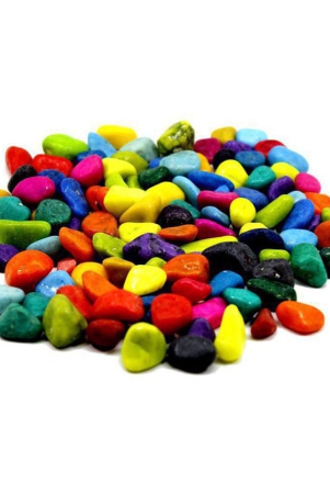 afast-multicolor-pabblesstone-for-garden-plants-aquarium-home-decor-wt-450g