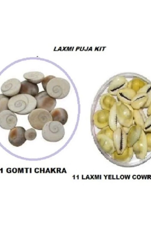 lucknow-pujan-store-stone-pooja-kit-pack-of-2