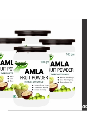 rawmest-amla-fruit-powder-100-gm-pack-of-4