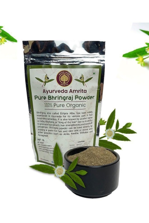 ayurveda-amrita-pure-natural-bhringraj-powder-hair-scalp-treatment-100-g