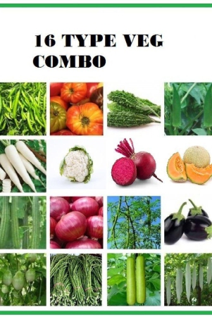 combo-of-16-different-type-vegetable-plant-seeds-pack-more-than-300-seeds-pack-with-user-manual-for-home-gardenung-use