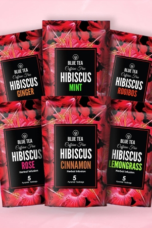 hibiscus-herbal-infusion-sampler-packs-6-flavors