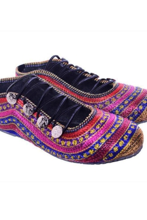 raj-multi-color-ethnic-footwear-none