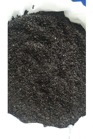 grade-a-sortex-quality-cleaned-sorted-talmakhana-seed-powder-astercantha-longifolia-powder-talmakkan-powder-500-grams