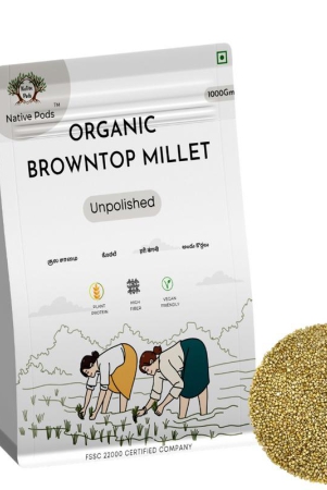 native-pods-browntop-millet-unpolished-1kg-koralechoti-kangni-natural-organic-gluten-free-and-wholesome-grain-without-additives