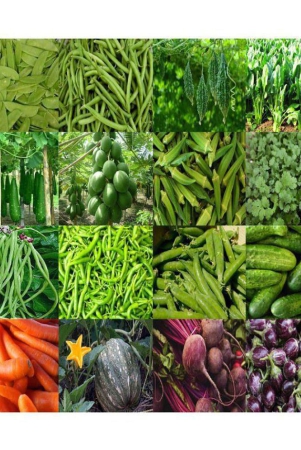 organic-pal-16-different-type-vegetable-seeds-combo-pack-more-than-300-seeds-pack-with-user-manaual-for-home-gardening