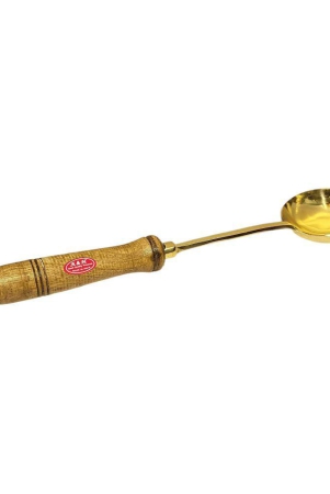 a-h-enterprises-brass-brass-serving-spoon-pack-of-1-brass