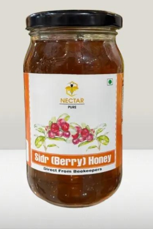 natural-berry-sidr-honey-500gm