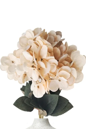 hydrangea-bloom-bunch-off-white