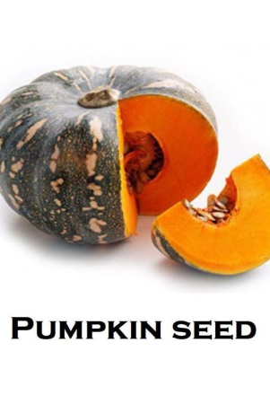 Hybrid  Pumpkin Seeds ( 40 Seeds)