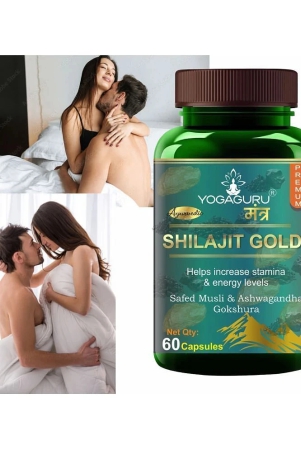 shilajit-gold-premium-vitality-ayurvedic-supplement-for-men-60-capsules