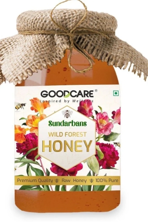 goodcare-honey-500-g