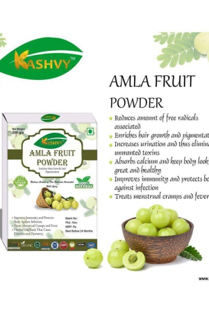 kashvy-amla-fruit-powder-100-gm-pack-of-1