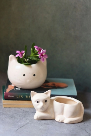 cat-kitty-planter