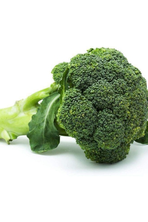 broccoli-vegetable-seeds-pack-of-40-seed-