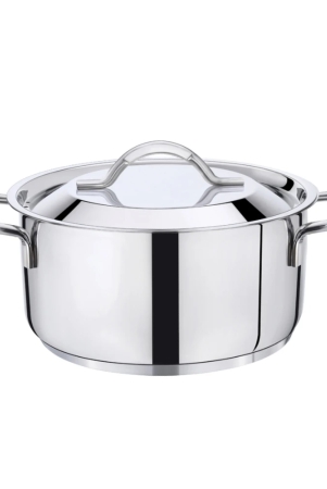 premier-3-ply-clad-stainless-steel-stew-pot-tpc-20-cm