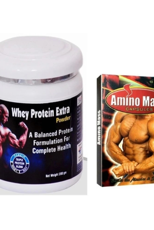 dr-chopra-gg-amino-mass-capsule-10-nos-rikhi-whey-protein-extra-powder-200-gm-chocolate