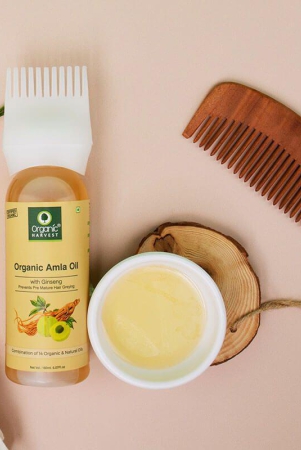 organic-amla-hair-oil-premature-greying