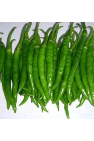 best-hybrid-chilli-seeds-50-instruction-manual