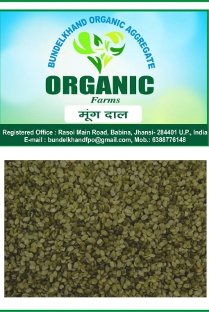 organic-mung-dal