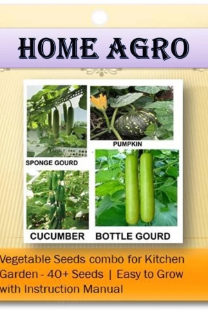 hn-organic-seed-vegetable-seeds-40-