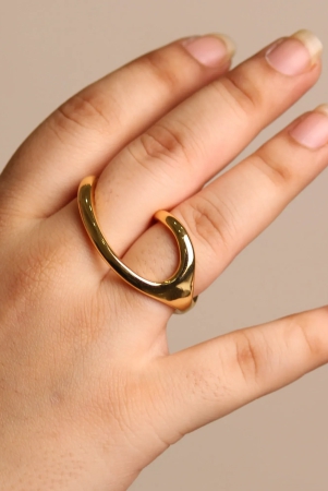 Alter 2 Finger 18kt gold plated finger ring