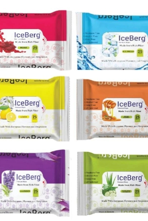 ice-berg-25-wipes-100-gm