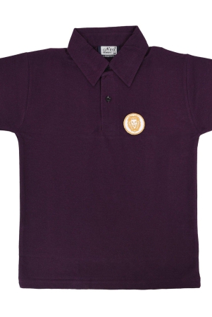 neo-garments-boys-cotton-collar-neck-half-sleeves-t-shirt-lion-purpal-size-from-7-yrs-to-14-yrs-8-9yrs-purple