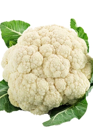 namdhari-cauliflower-1-pc