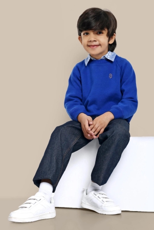 alan-flower-embroidery-fleece-cotton-boys-sweatshirt-blue-copy-2-3y-blue