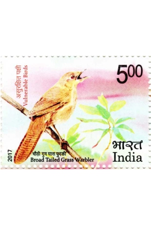 india-broad-tailed-grass-warbler-vulnerable-birds-postage-stamp