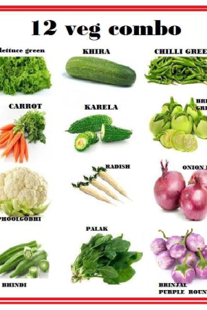 combo-of-12-different-type-vegetable-plant-seeds-pack-more-tham-250-seeds-pack-with-user-mamanualnaul-for-home-gardenung-use