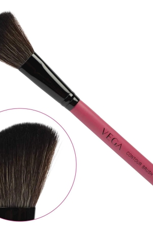 vega-contour-brush-mbp-03