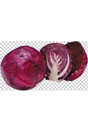 cabbage-red-1-pc