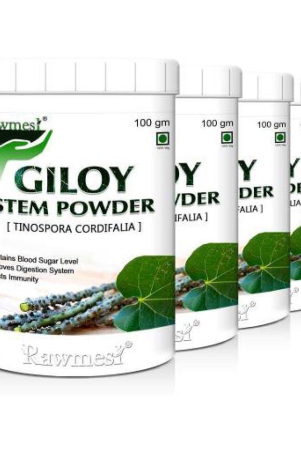 rawmest Giloy Powder 400 gm Vitamins Powder