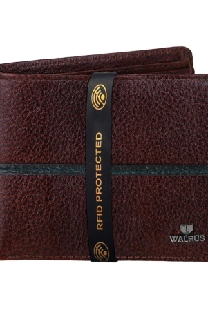 walrus-pu-brown-casual-regular-wallet