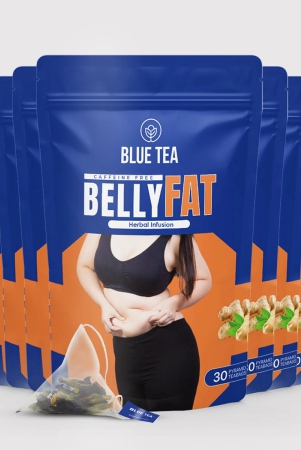 belly-fat-herbal-infusion-30-tea-bags-pack-of-9