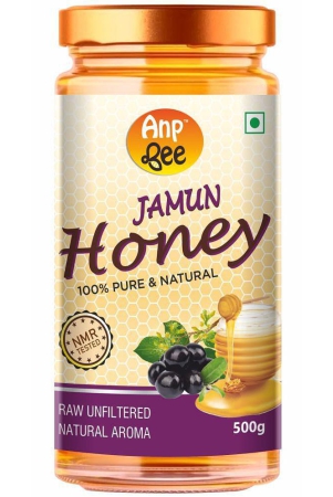 anp-bee-honey-jamun-honey-500-g