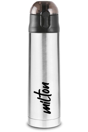 milton-new-crown-900-thermosteel-hot-or-cold-water-bottle-750-ml-silver-silver