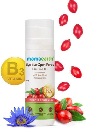 Mamaearth Bye Bye Face Cream, For Pore Tightening with Rosehip & Niacinamide - 30 g