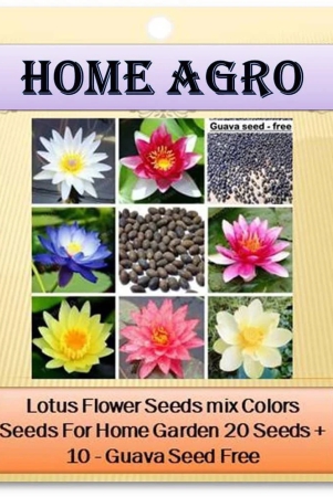 homeagro-flower-seeds-20-