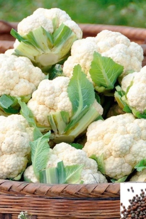 homeagro-cauliflower-vegetable-50-seeds-