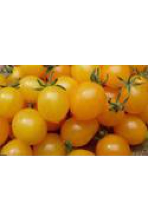 yellow-cherry-tomato-500-gms